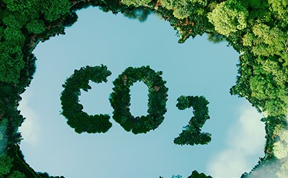 EU discourages Deforestation, banning Goods from damaged Rainforests