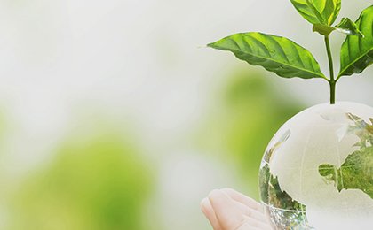 ESG criteria: what they are and how to use them