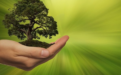 ESG Certification: What It Is, What It's For, and How to Get It