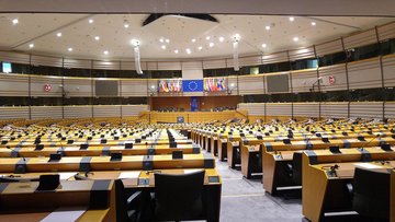 What does the European Parliament do?