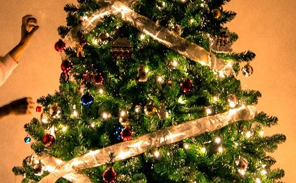 How much do the Christmas Tree and Christmas Lights consume