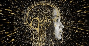 Insight: AI will not affect networks and social capital