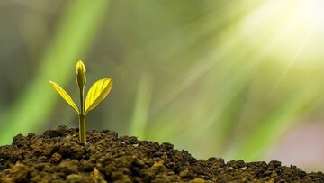 Certificates of Deposit: what are they? A complete guide