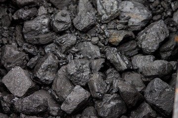 G7 members agree to historic coal phase out