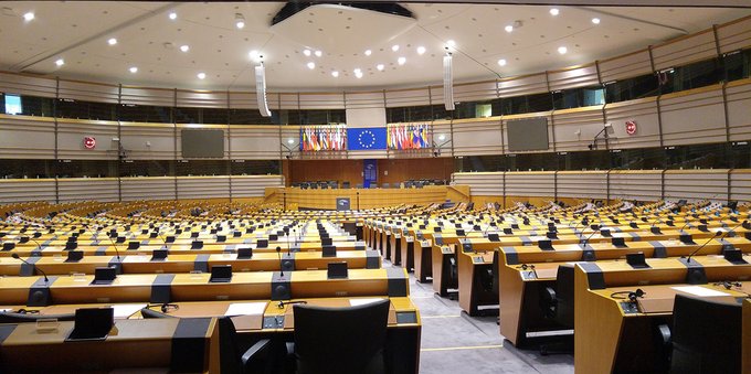 What does the European Parliament do?