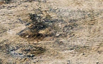 This company in India might be the perfect investment... if you like risk