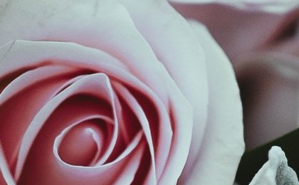 Mother's Day 2026: Americans Will Spend a Record $284 on Mom — Here's Where the Money Actually Goes