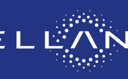 Stellantis Shock: Why Today's Collapse Could Ripple Across Global Stock Markets