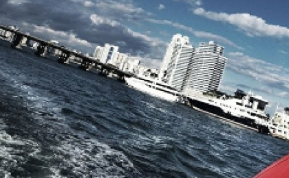 Downward PPI Adjustments Attract Market Attention