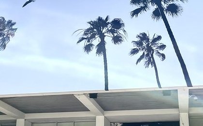 The role of film festivals in the movie industry, explained