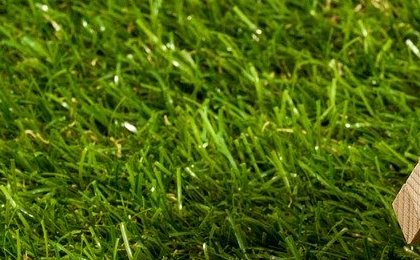 Debt market boom delays Europe's real estate bust