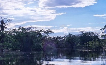 Amazon countries sign Belem declaration but disagree on deforestation principles