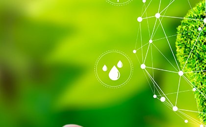 COP27: Third World calls for help as some Rich Countries provide funds