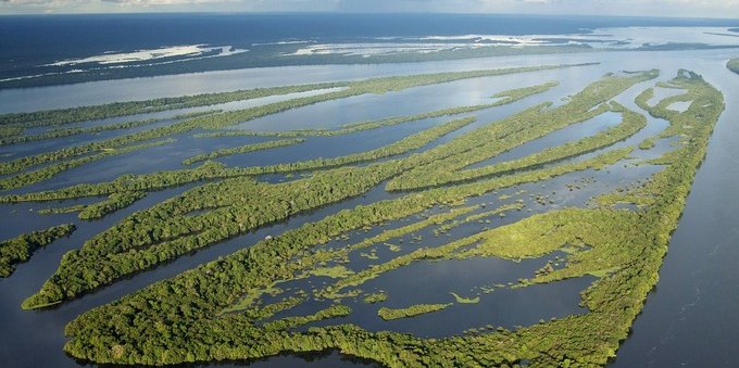 Lula's Brazil reduces Amazon deforestation to record-low levels