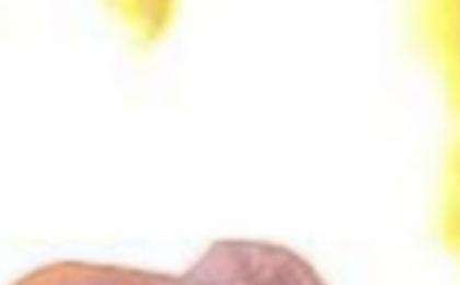 Will my Tesla catch fire? General, parking, charging and accident statistics