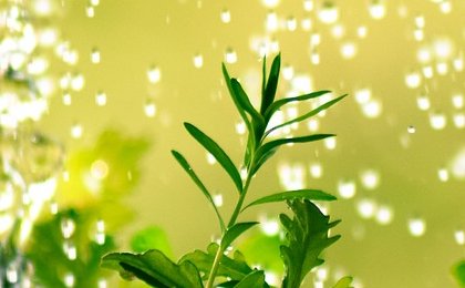 Private clients return to ESG funds with new ways to tackle returns