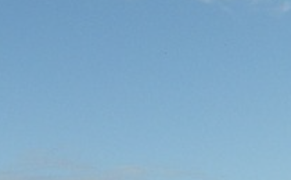 This central bank surprised markets with the first rate cut