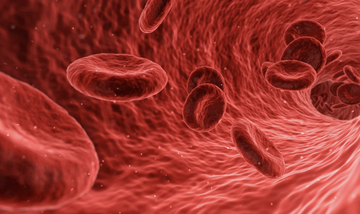 Needle-free blood sampling: the promise comes from a trusted American Company