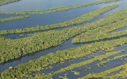 Lula's Brazil reduces Amazon deforestation to record-low levels