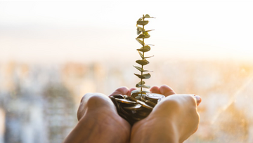 The most sustainable companies in the world in 2025