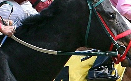Preakness Stakes 2026 Prize Money: How Much the Winner Takes Home From the $2 Million Purse Saturday at Laurel Park