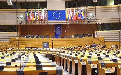 What does the European Parliament do?