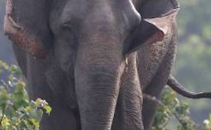 India and China reignite border dispute: Chinese map overrules Indian claims