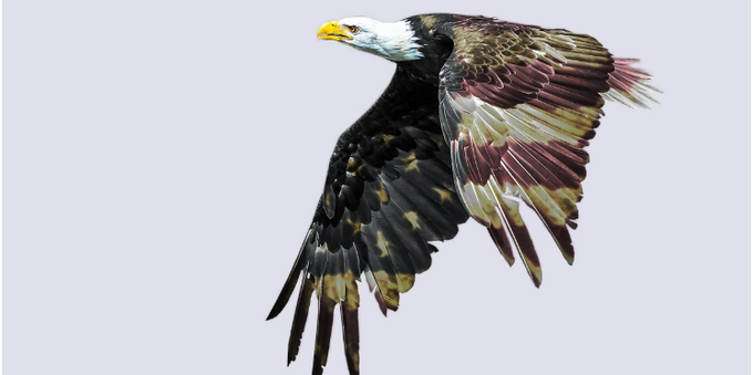 <span class="caps">US</span> Stocks at New Highs: What is the Outlook for Late 2024 and Early 2025?