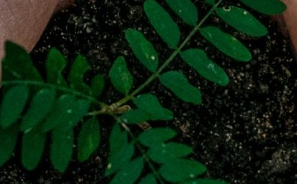 Top 10 Eco-friendly Startups in 2024, Leading the Green Revolution