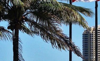 2026 Miami Open Prize Pool: Winners' Prize Money, Round by Round