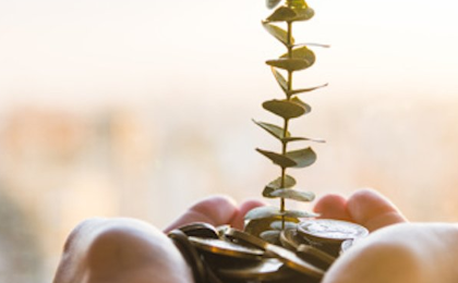 The most sustainable companies in the world in 2025