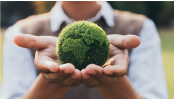 EU Green Bonds: What You Need to Know