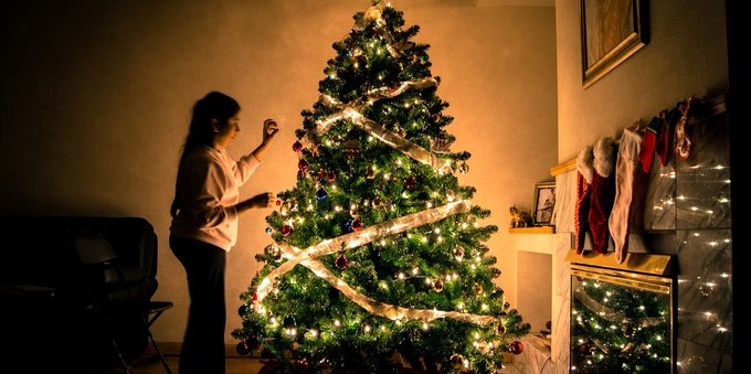 How much do the Christmas Tree and Christmas Lights consume