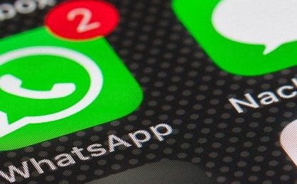 Here's How to make a Poll on Whatsapp