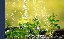 Private clients return to ESG funds with new ways to tackle returns