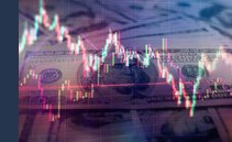 5 High-Dividend (and undervalued) stocks to invest in