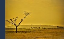 5 places that will be uninhabitable in 50 years