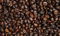 Coffee and cocoa stored in EU warehouses at risk of destruction under new rules