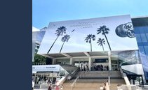 The role of film festivals in the movie industry, explained