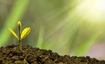 Certificates of Deposit: what are they? A complete guide