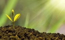 Socially responsible investing (SRI): top 5 biodiversity ETFs on the market