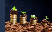 Investing in sustainability: 3 reasons why it's a good idea