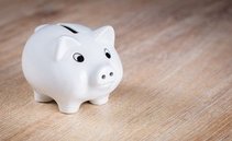 Here's How to Invest your Savings: Risks and Opportunities