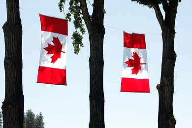 Bank of Canada cuts rates by 50 basis points to 3.75% after inflation below target