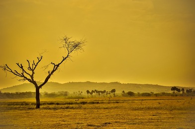 5 places that will be uninhabitable in 50 years
