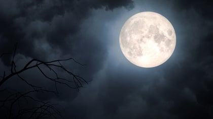 How to photograph the moon with your smartphone? Useful apps and tricks