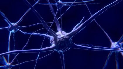 Neuralink: what is it and what does Elon Musk's company do for human-machine fusion