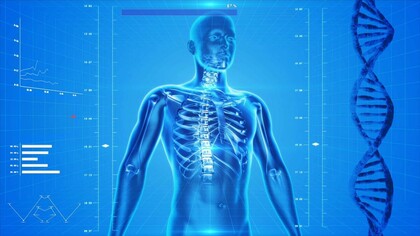 Digital twin: What is it, How does it Work and Where is it Used