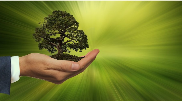 ESG Certification: What It Is, What It's For, and How to Get It