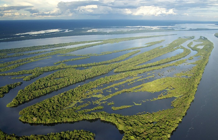 Lula's Brazil reduces Amazon deforestation to record-low levels